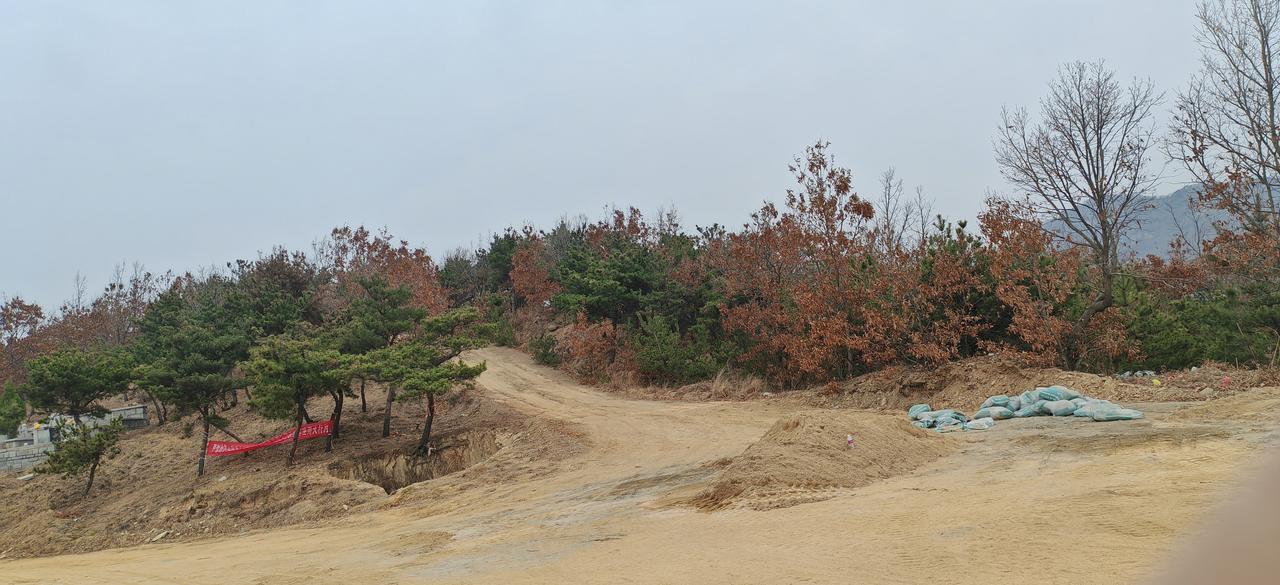 踏着春山去踏青，后边一片墓地，人们正在忙着修缮。原来清明节将到了，清明节传统的习