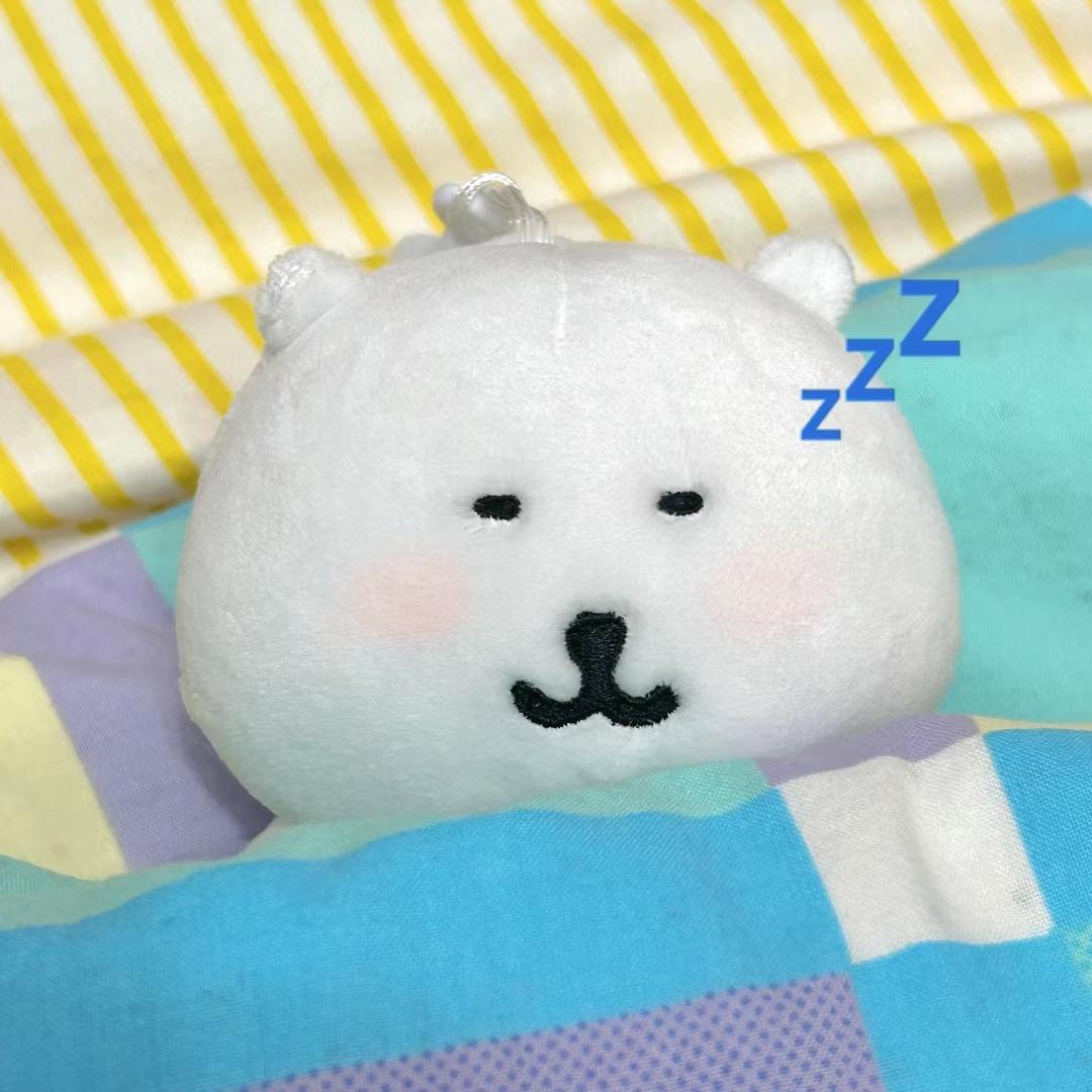 周末，熊，困困的。 ​​​