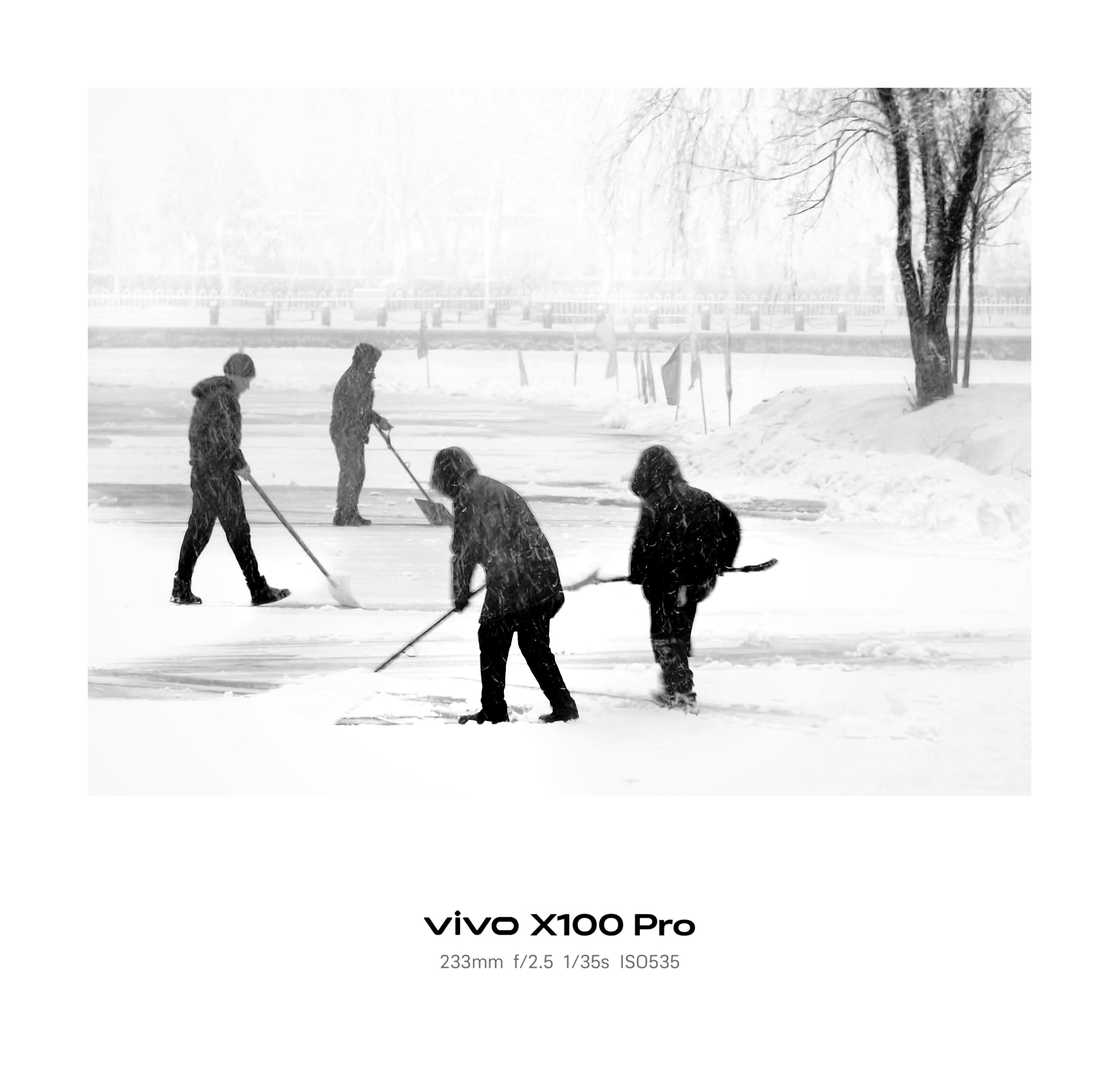 vivo X100 Pro拍摄，以233mm长焦、f/2.5大光圈、1/35s快