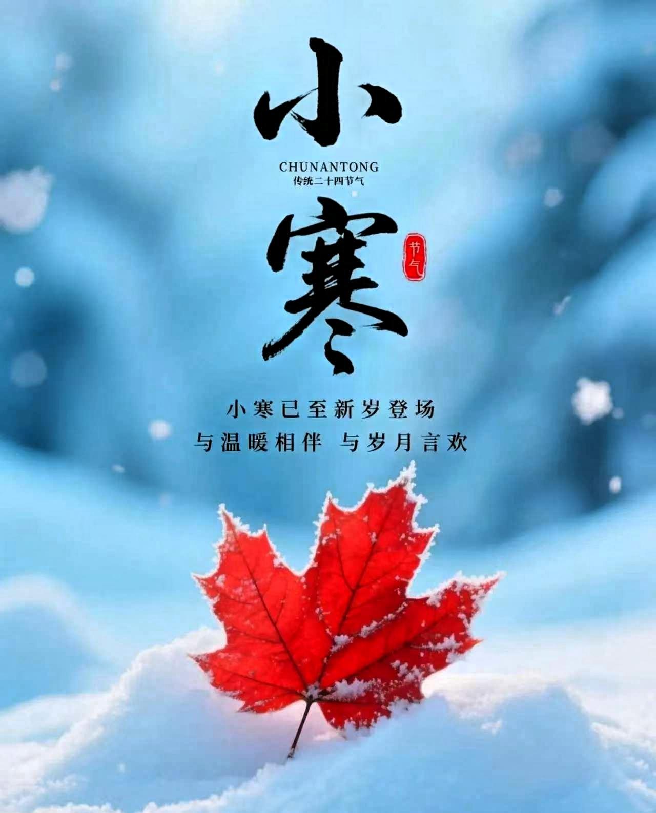 提醒大家，
明天就是小寒了！

老辈人挂嘴边的“小寒不寒，清明泥潭”，真不是随口