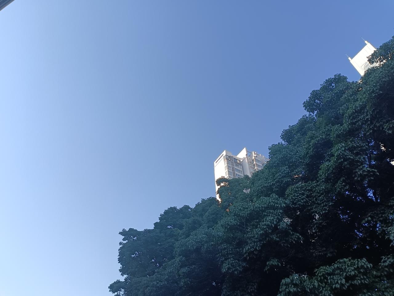 韩国股市暴涨，没有给普通民众带来一丝好处，反而给他们增加了前所未有的焦虑感。
失