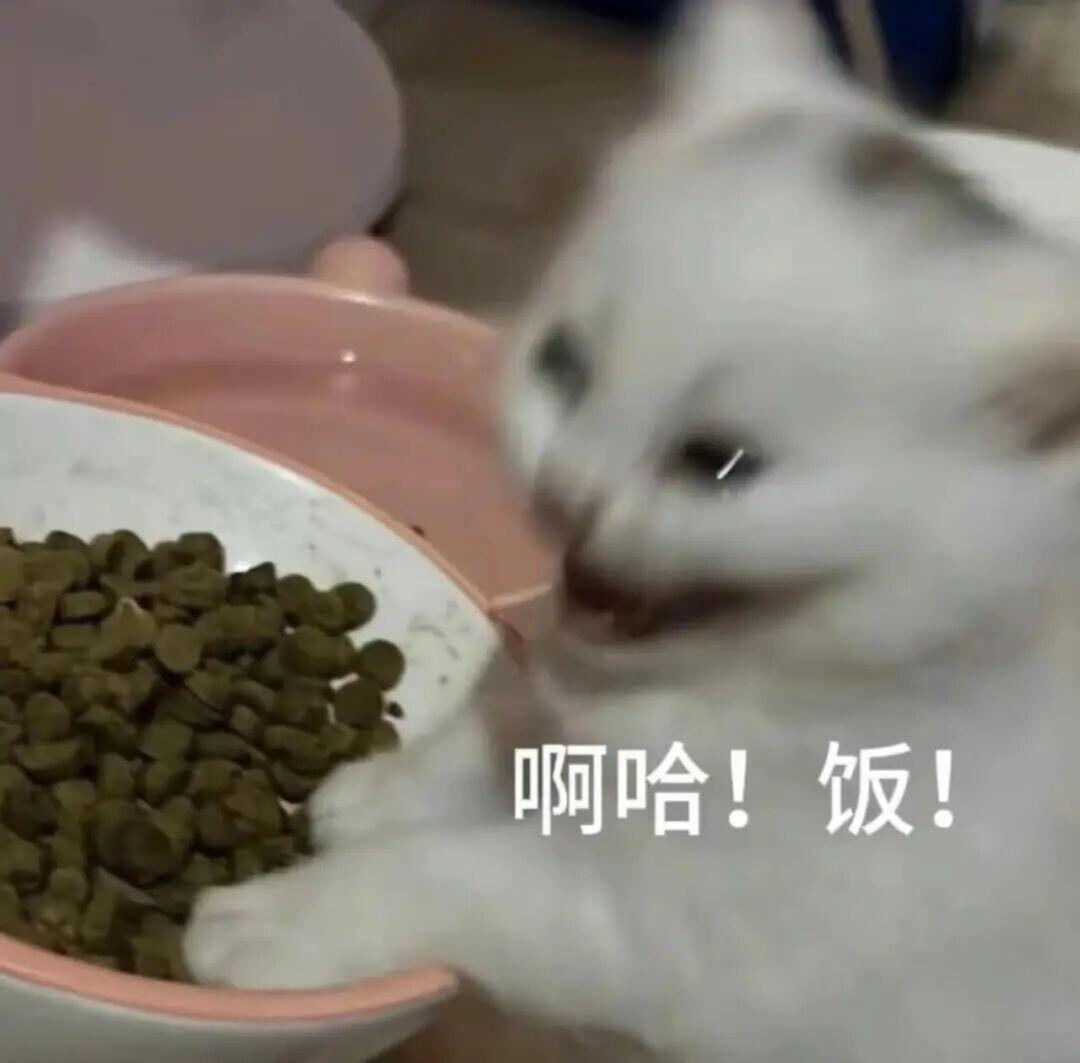 可以看到老公新活动了！！！还有端午的自拍！！！（老公我替你决定了，你疼疼我行嘛）