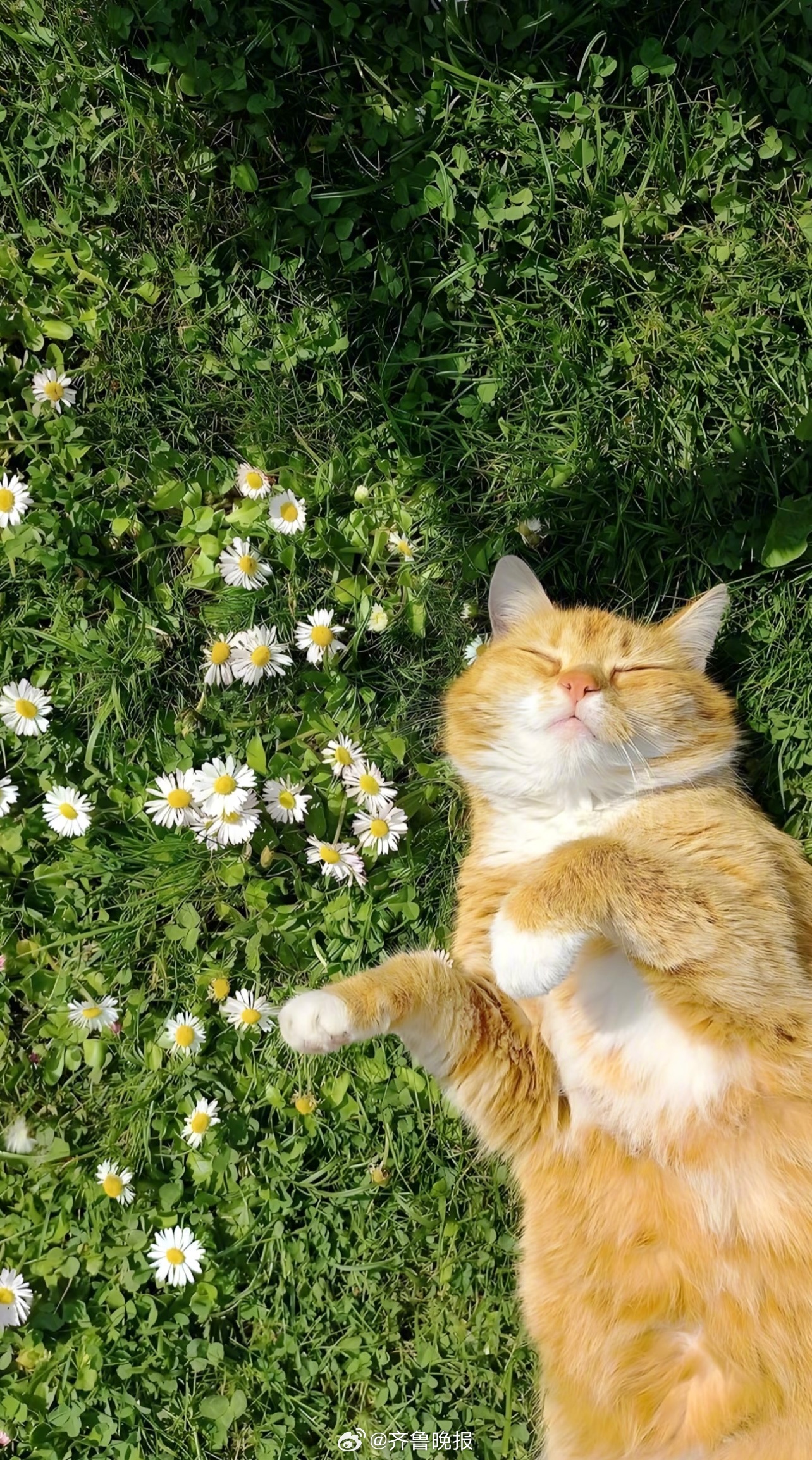 愿你昨晚睡前的坏心情在今早掀开被子拉开窗帘的那一刻消失 #早安#