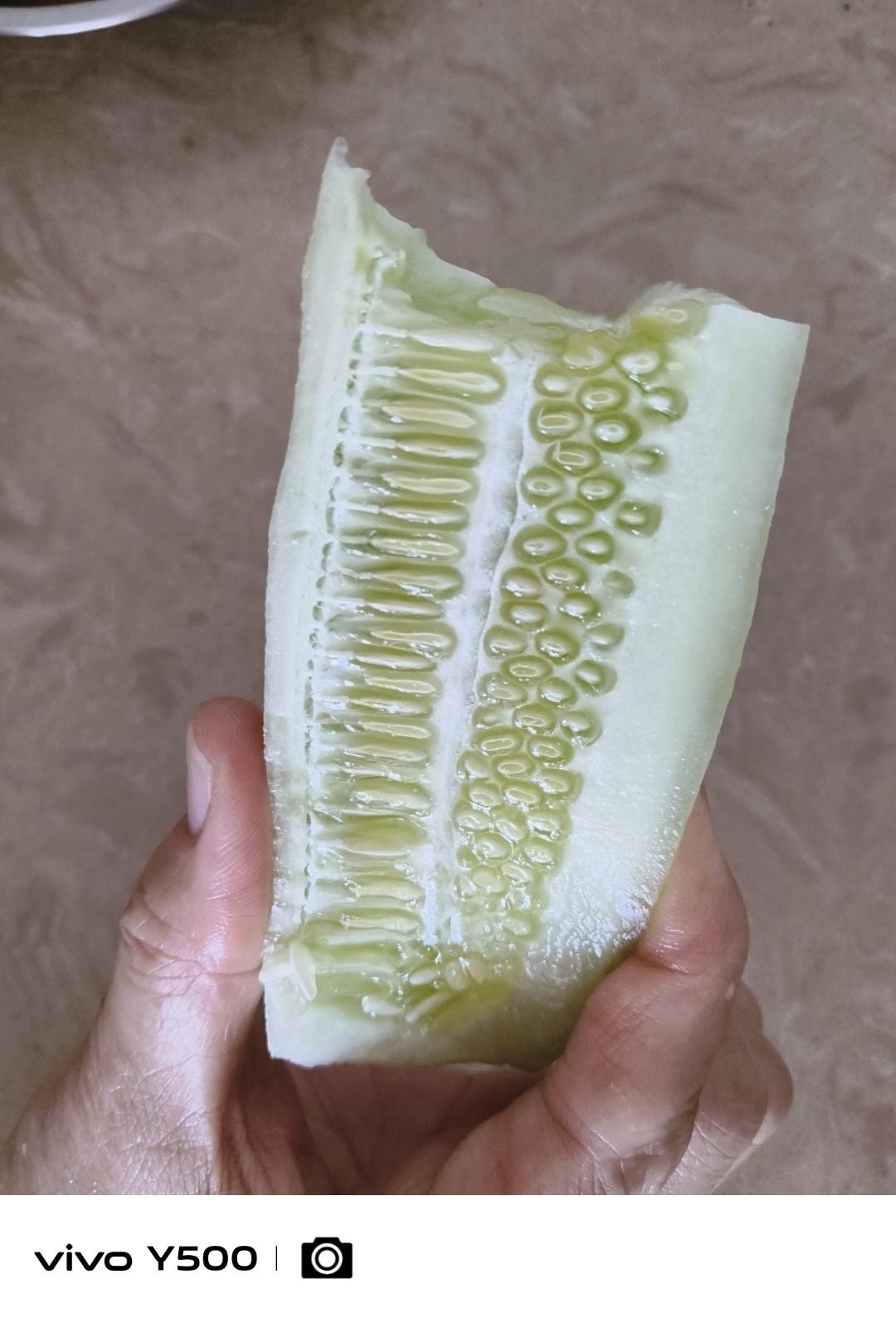 老黄瓜
黄瓜要下梢了——这是大连农村的土话，意思是黄瓜这款蔬菜自然生长的状态要过