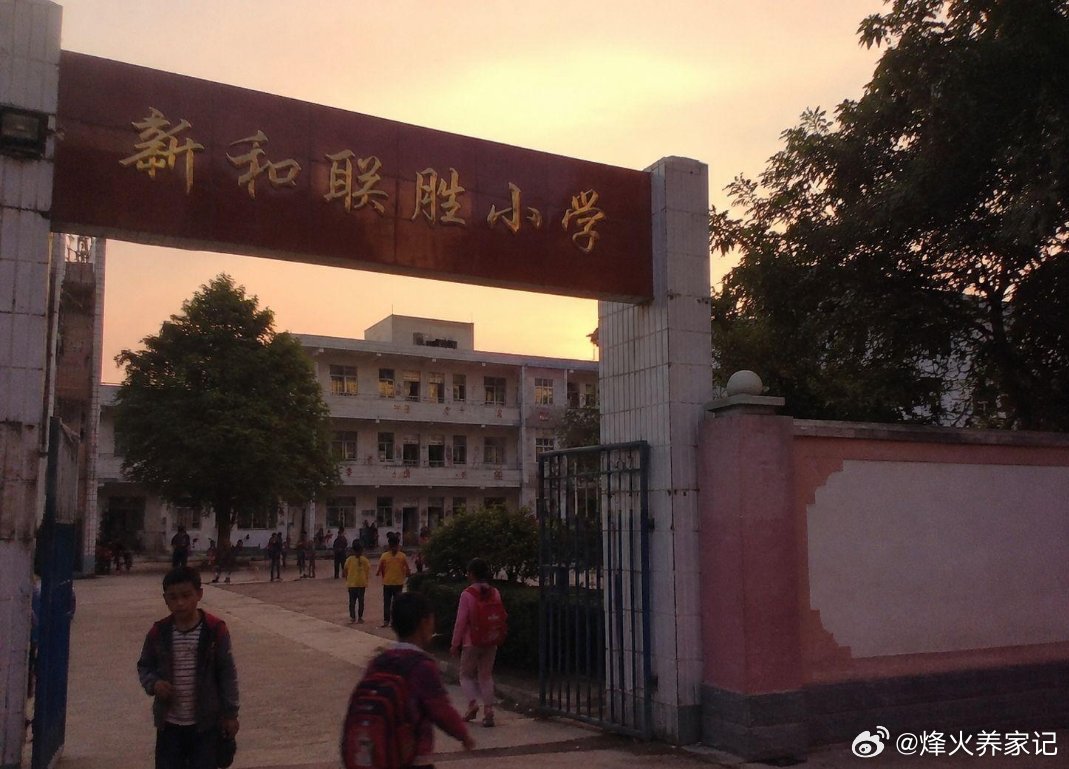 这届选我做话事人
