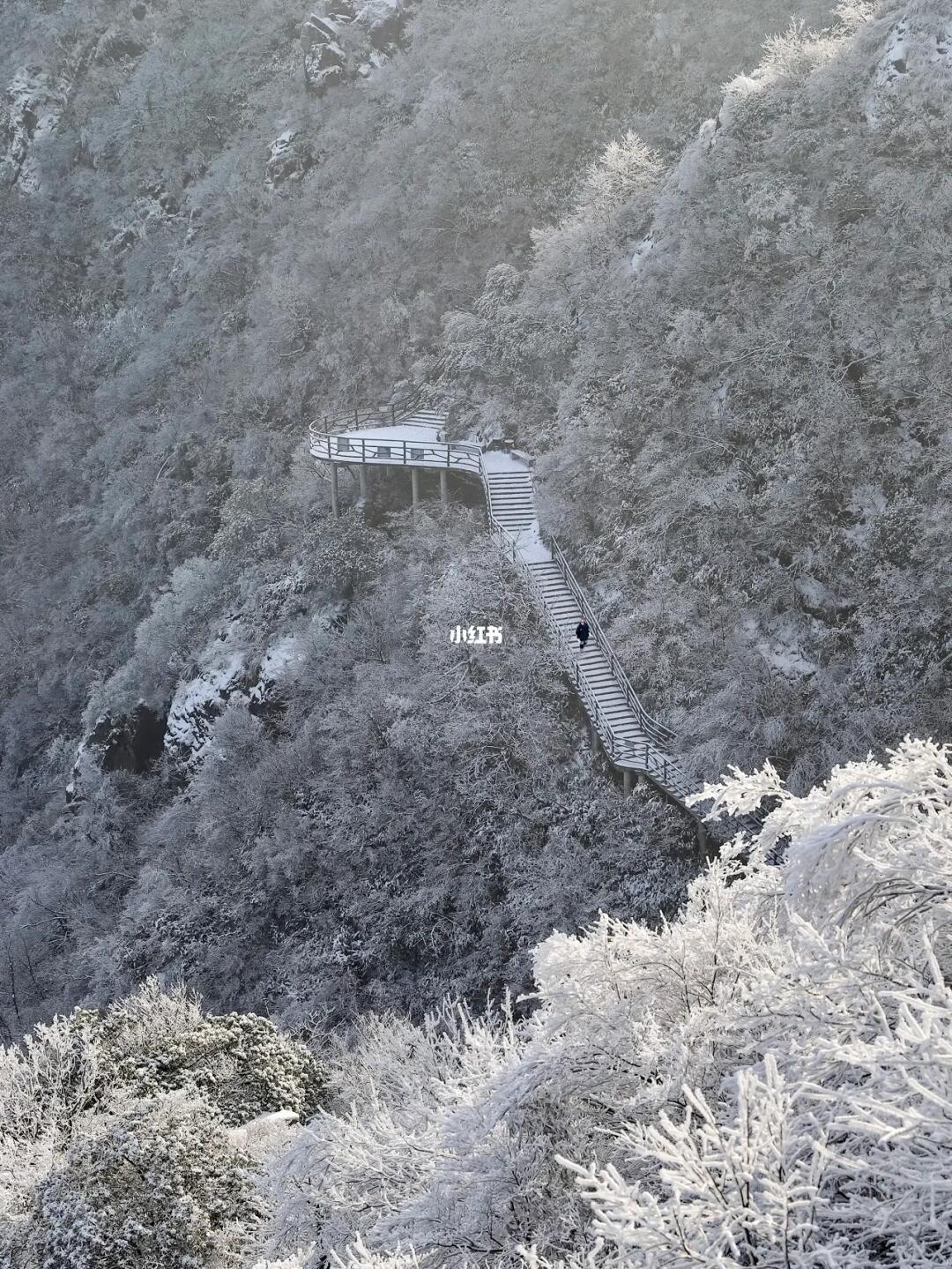 去不了东北，就来安吉滑雪🏂🏻看雾凇❄️