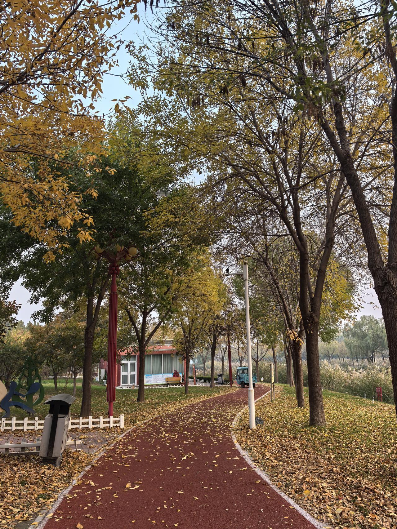 高士的狂妄言论，显然不是一时冲动，作为一个资深老政客，她的一言一行都是经过斟酌的