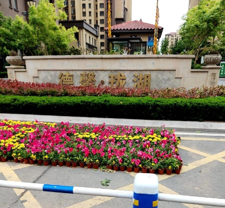 近日，即墨区环秀街道淮涉河一路德馨珑湖小区有业主反映说，小区与珑湖物业服务有限公