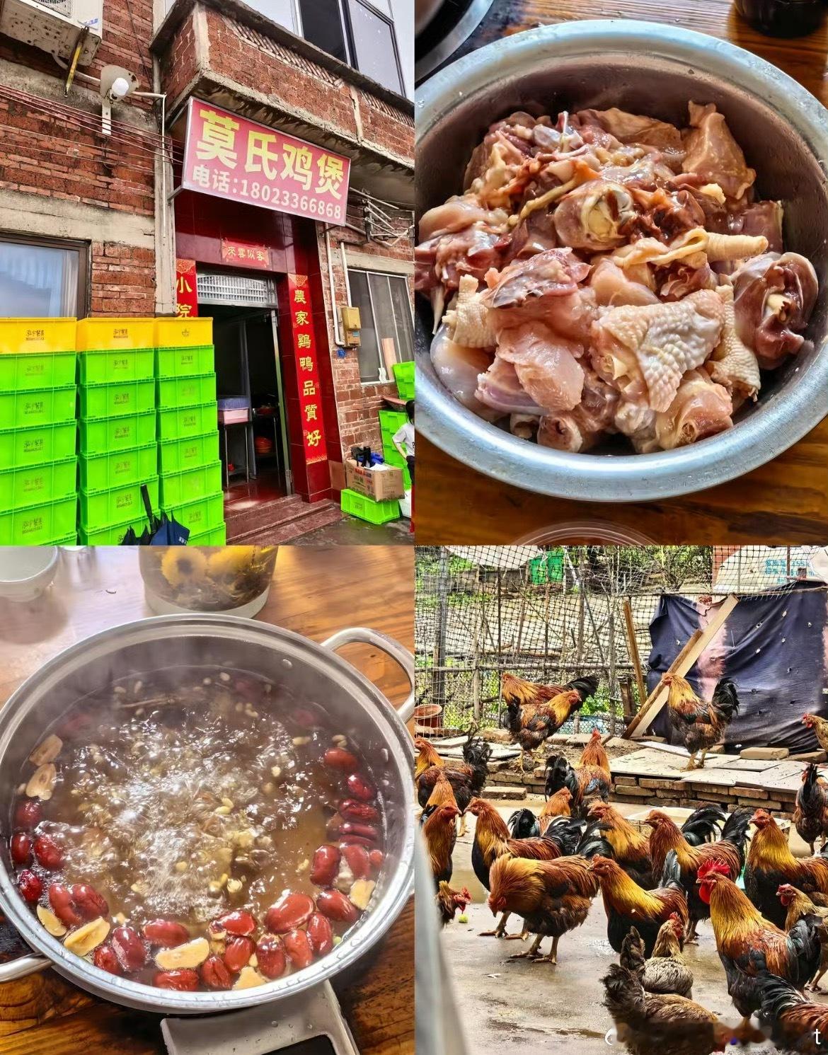 莫氏鸡煲要大变样了没想到今年火了莫氏鸡煲看到很多老板采访视频老板是干到不想干了每