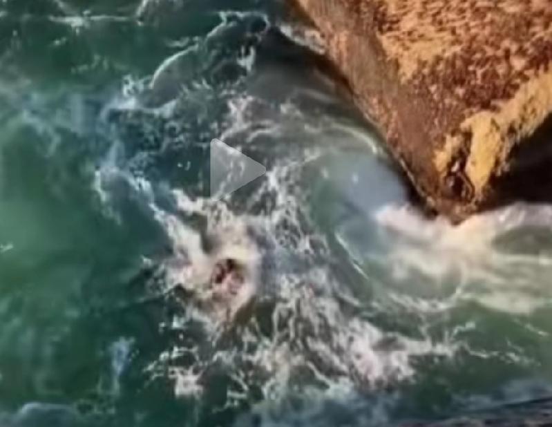 委内瑞拉政府颁布一项法令，要求国家、州和市各级警察机关立即在全国范围内搜索并抓捕