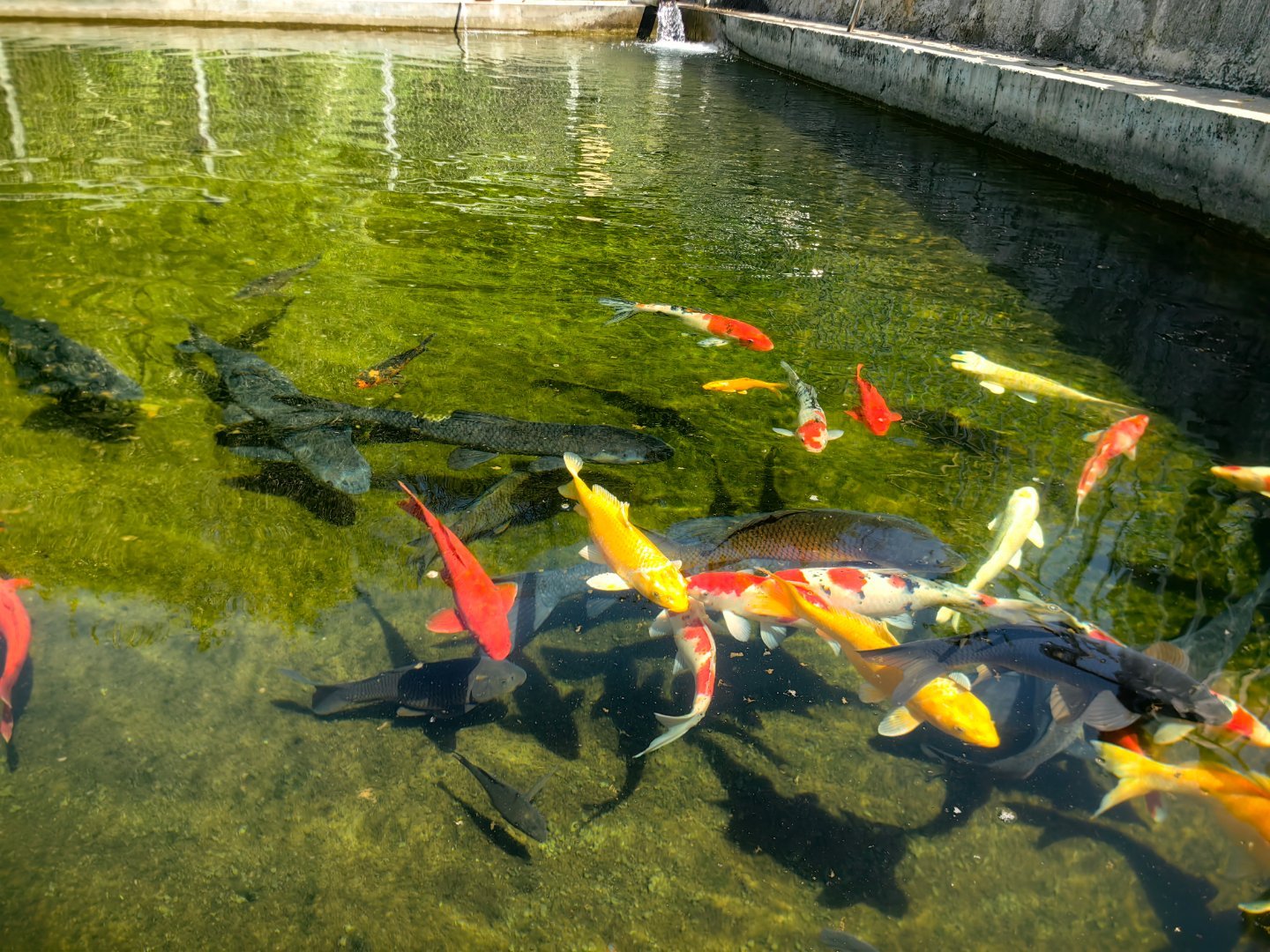 秦岭笑谈 什么叫愚公移山？这就是！40多年，三代人，在死亡之海边缘筑起三千公里的