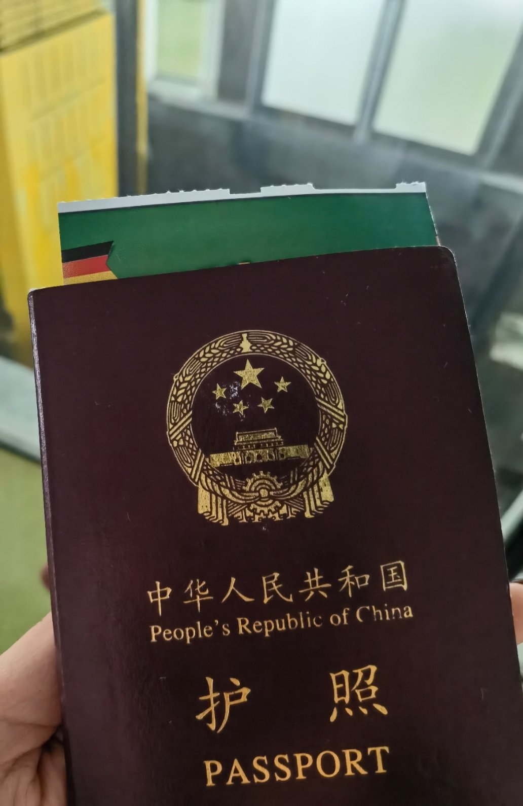 2026第一次出发🐼 