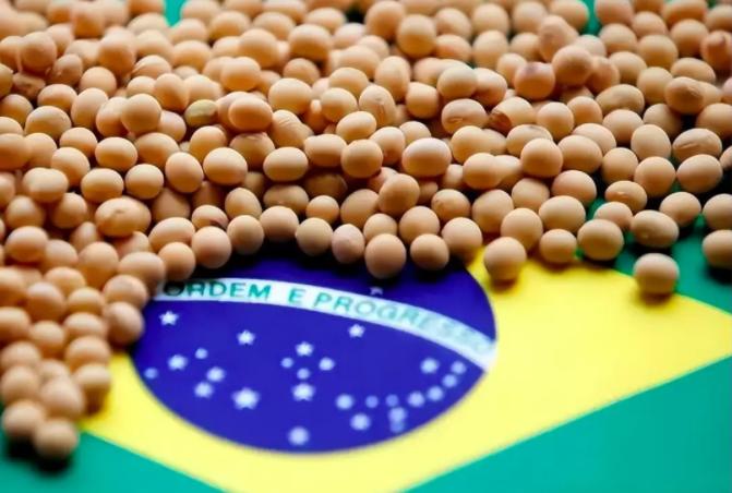 前脚中国刚刚宣布购买美国18万吨大豆，后脚巴西大豆就主动降价了，据报道，10月2