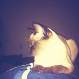 龙哥家的猴弟