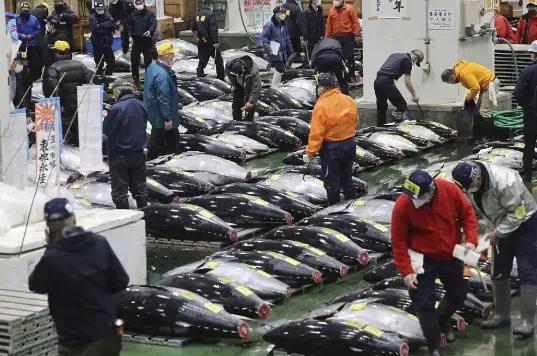 日本人水产不自己吃，为什么一定卖中国？

11月5日，日本才有6吨扇贝出口中国，