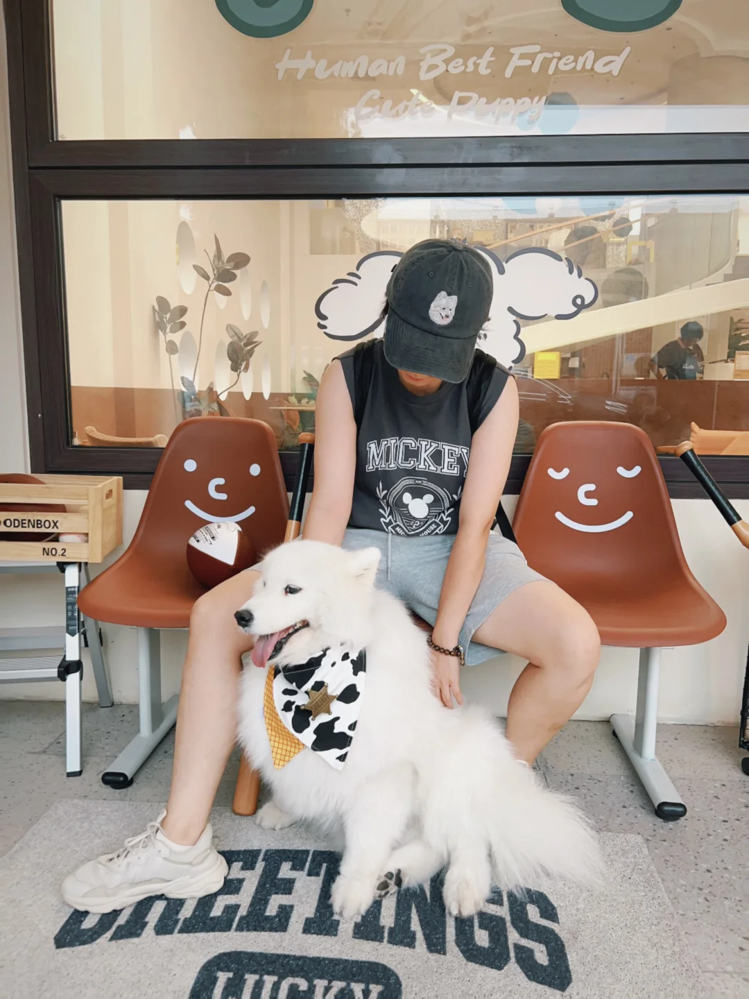 铲屎官的小心思🧢