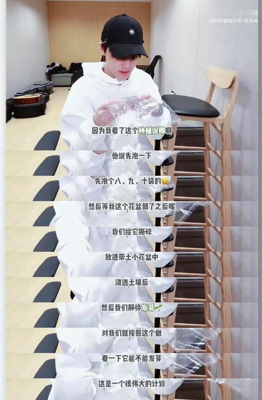 张泽禹的大计划实现了 张泽禹的大计划终于圆满落幕，真是太厉害了！他那么用心地准备