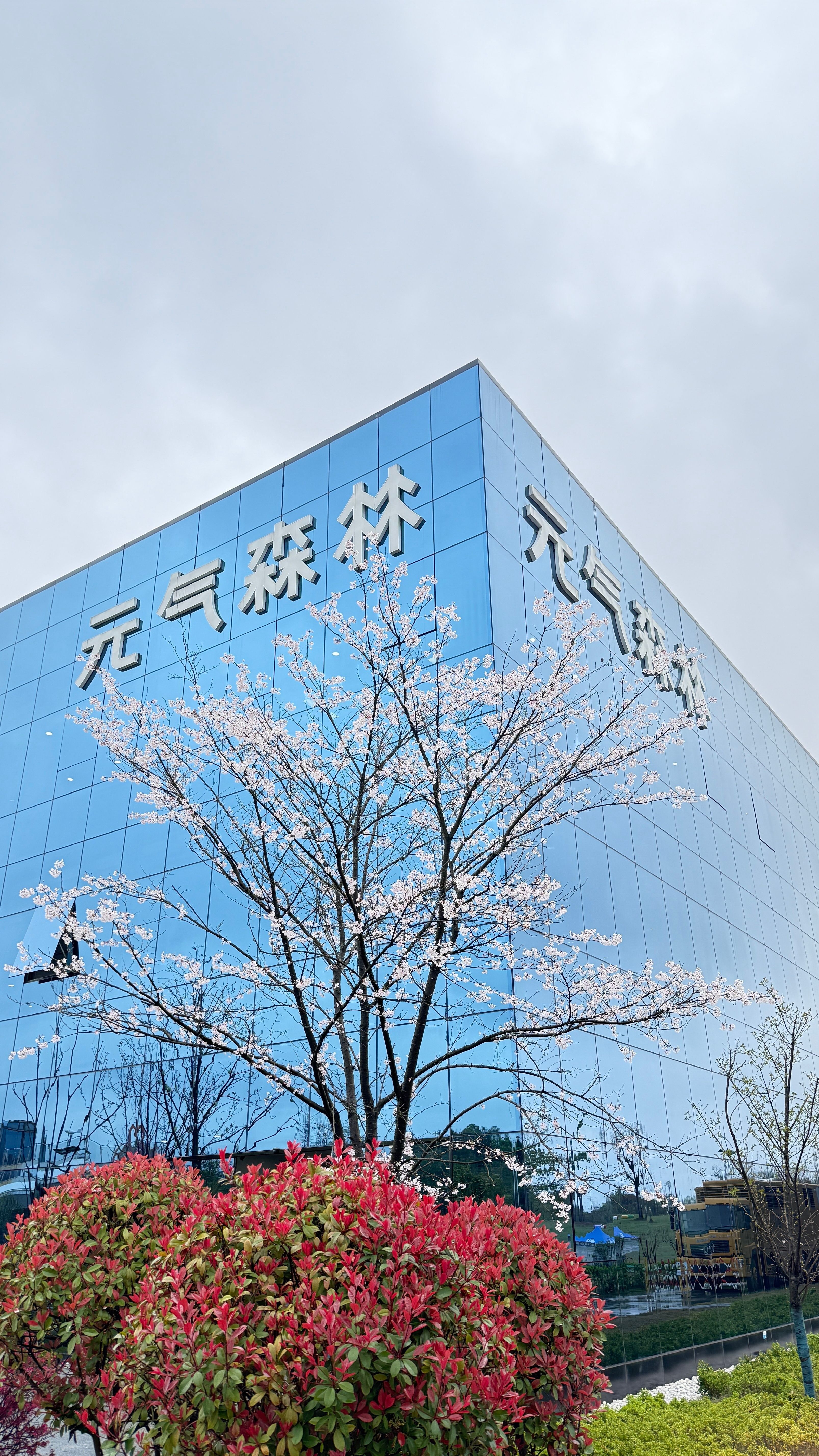 刚刚，偷拍了一张李诞 咸宁·元气森林(湖北)饮料有限公司