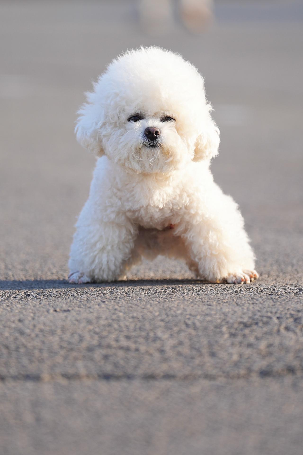 马步扎的好 奔跑少不了