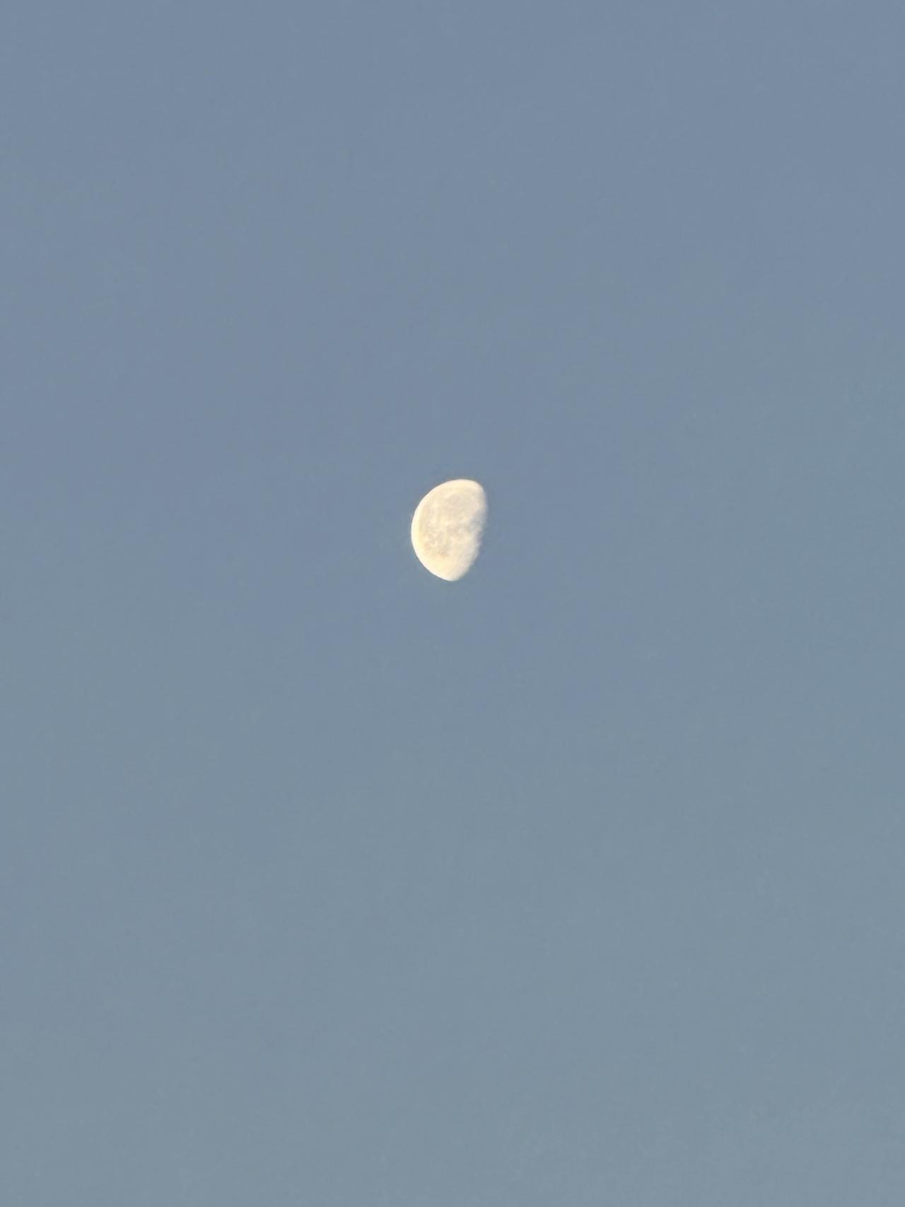 天气晴朗的清晨，天空悬挂着清晰可见的半边月亮，一天就这样开始了。