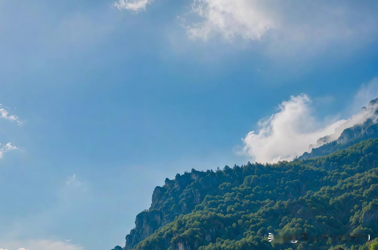 前阵子刷到青岛崂山区的天气反差感直接戳中我，8月9号那天别的区还在哗哗下雨，崂山