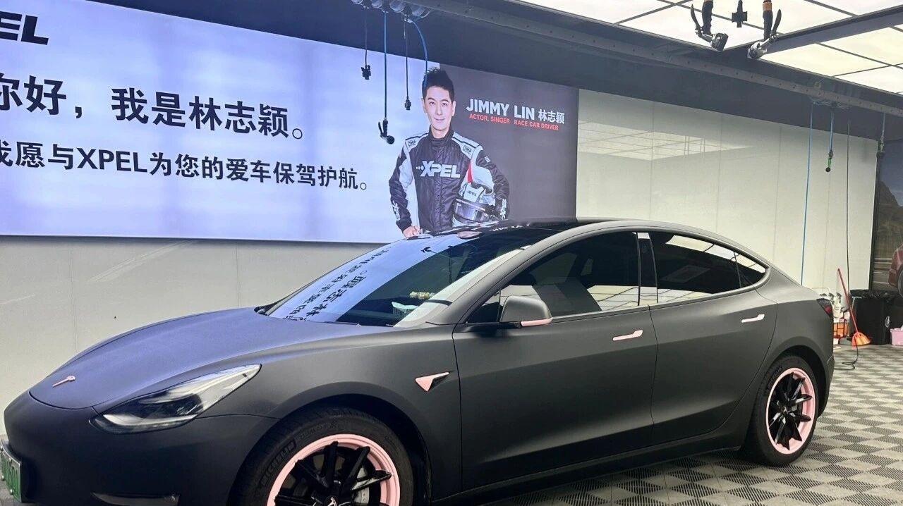 谁家毛豆3拥有绝美blackpink配色？哦是我！是给我家小特改上甜酷风色膜， 