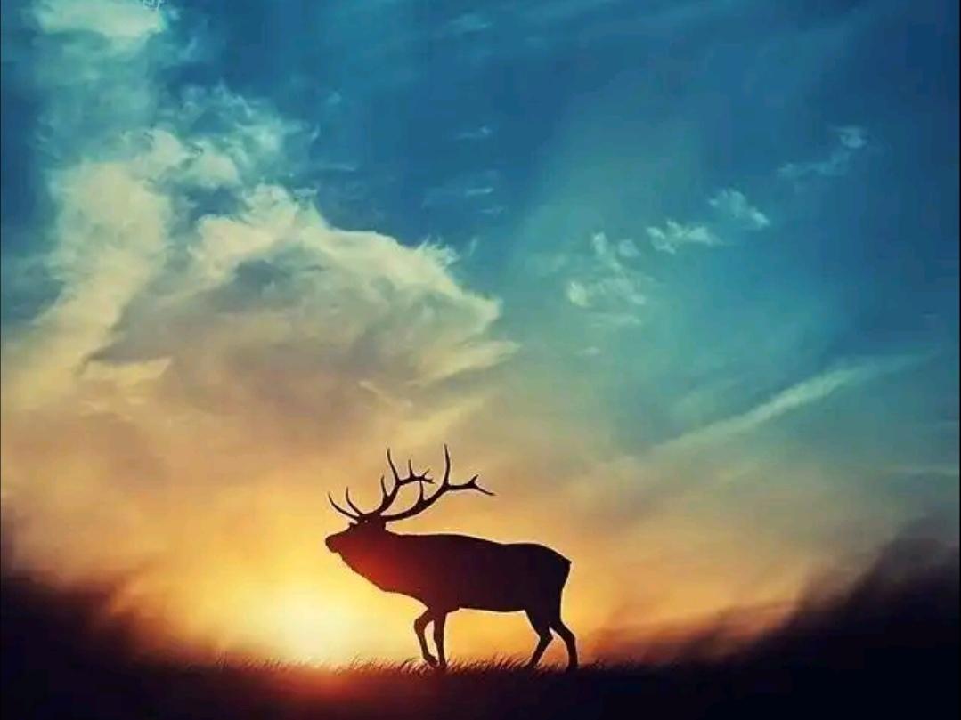 ＃曾经激励你努力拼搏的一句话＃
     我认为这句话激励我努力拼搏了一生：“成