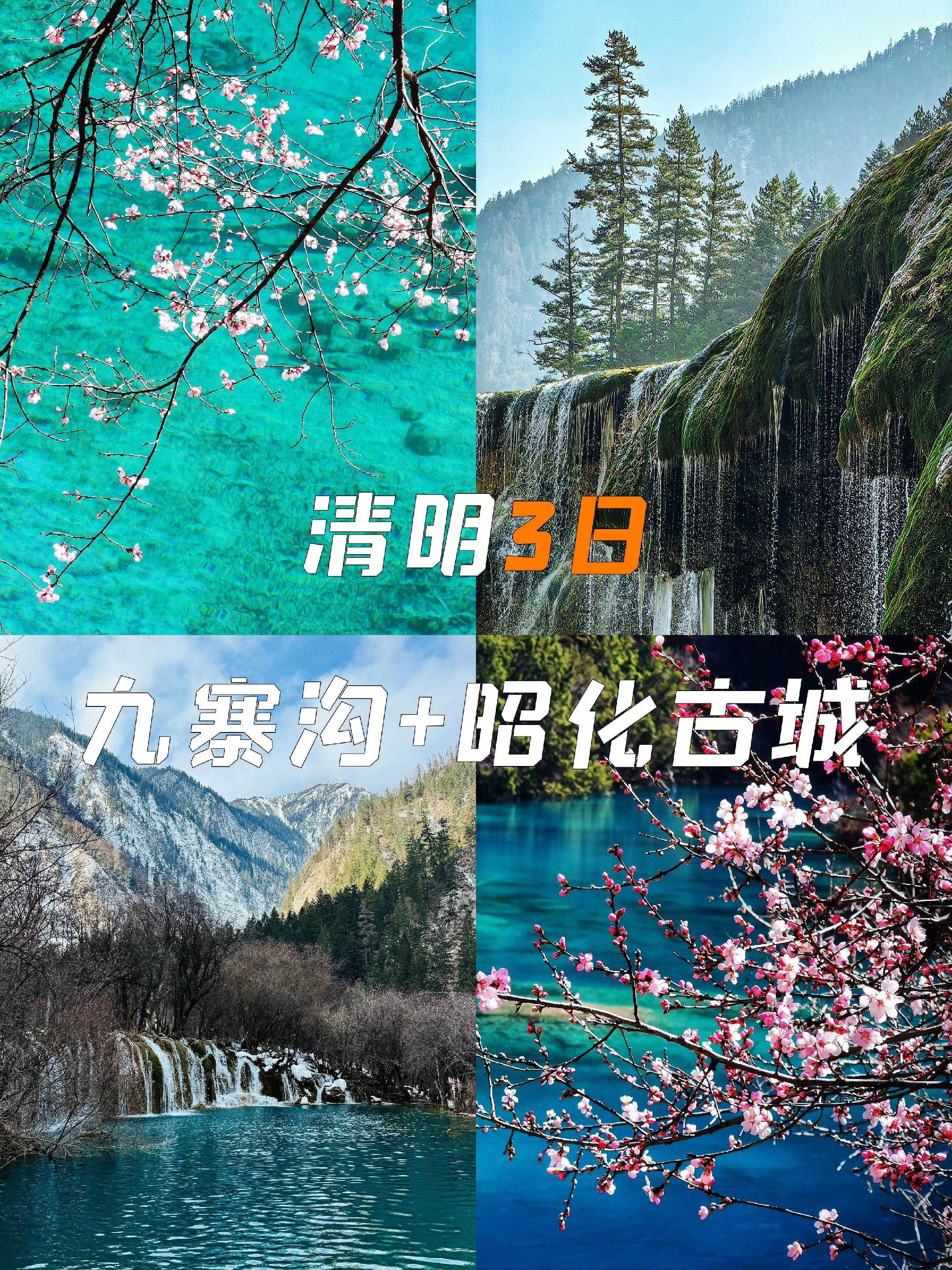 不愧是5A级景区天花板👍接下来美到爆炸。一半桃花🌸一半雪景🏔️ ...