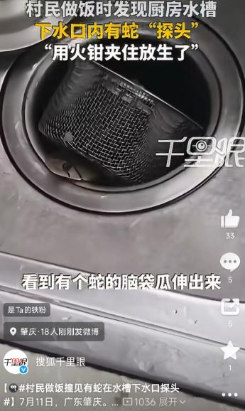 广东肇庆，一男子的母亲准备进厨房做饭时，低头清理水槽，竟发现水槽下水口的滤网被顶