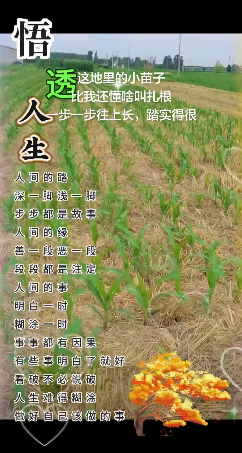 我的图片 ai创作