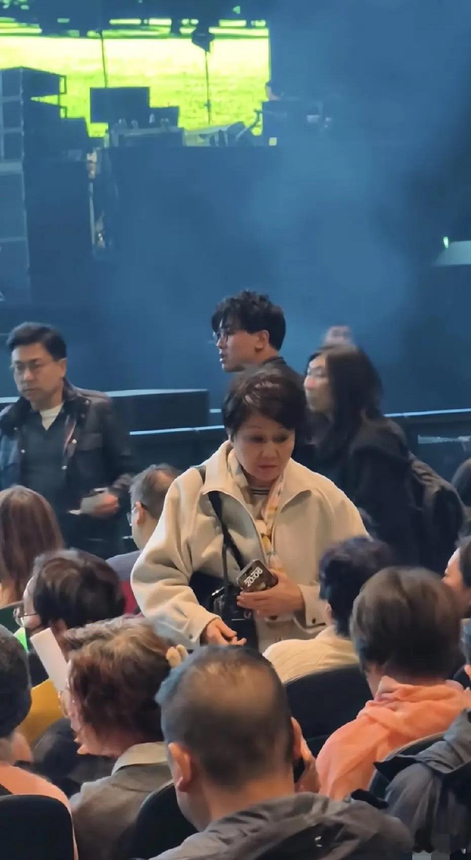 林子祥叶倩文澳门演唱会偶遇66岁的四太梁安琪，本人长得很有气质优雅，当天四太身穿