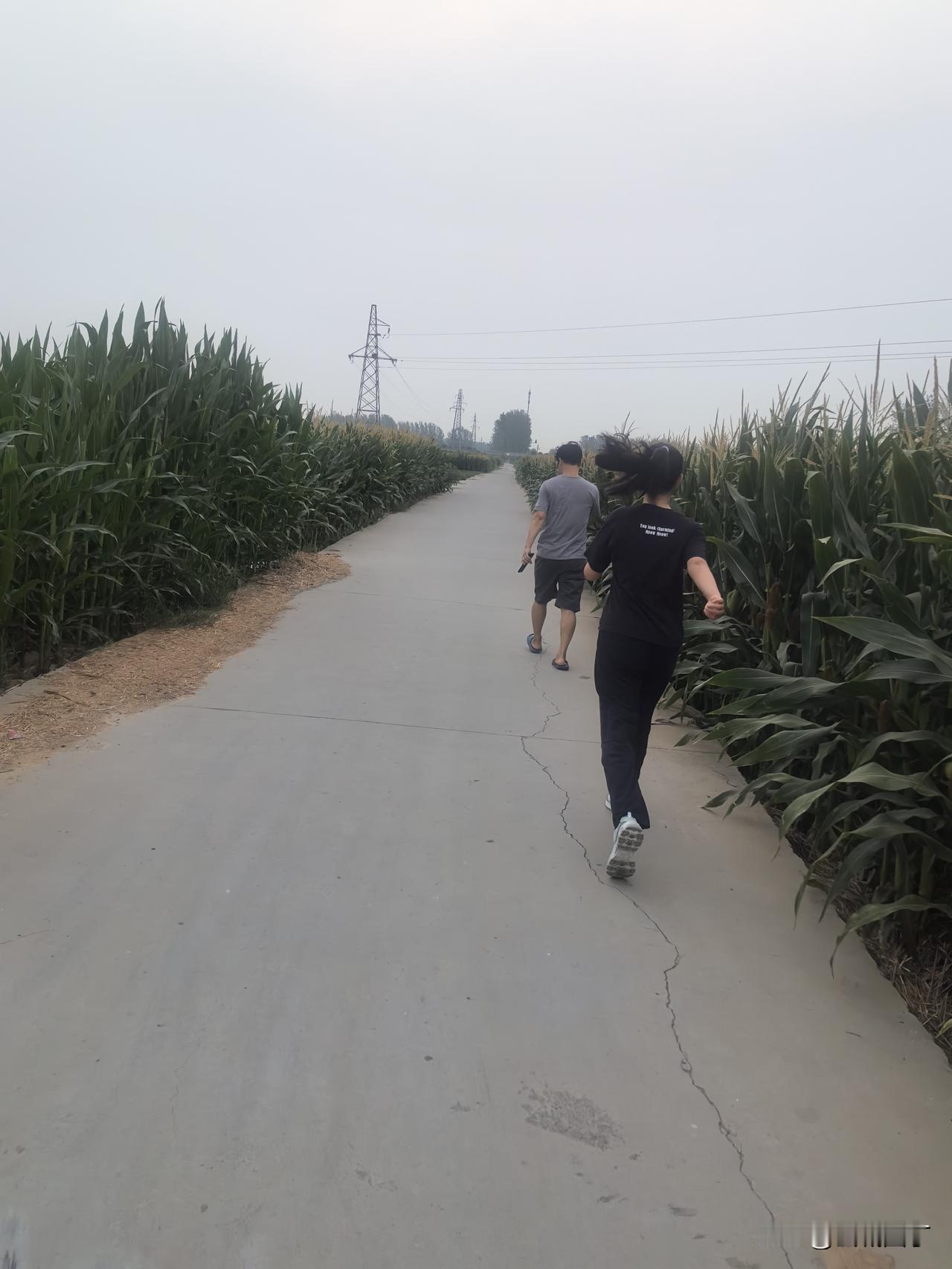 在教育孩子方面，我们兄妹仨理念不同，经常在群里激烈讨论，结果就是谁也不服谁，都很