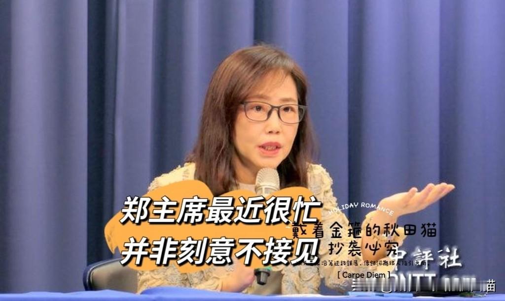 郑丽文被曝拒见日本自民党青年局，引发日方不满！尹乃菁第一时间召开新闻发布会澄清，