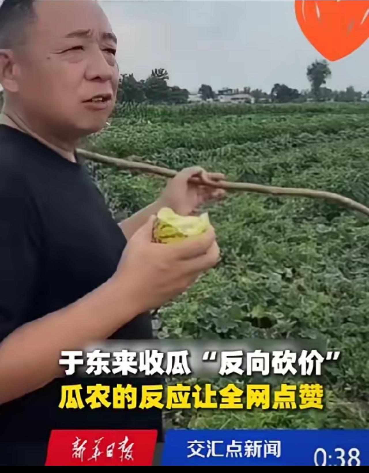 看到于东来收甜瓜那段视频，心里真不是滋味。
农户开口报价五毛，其实心里也没底，甚