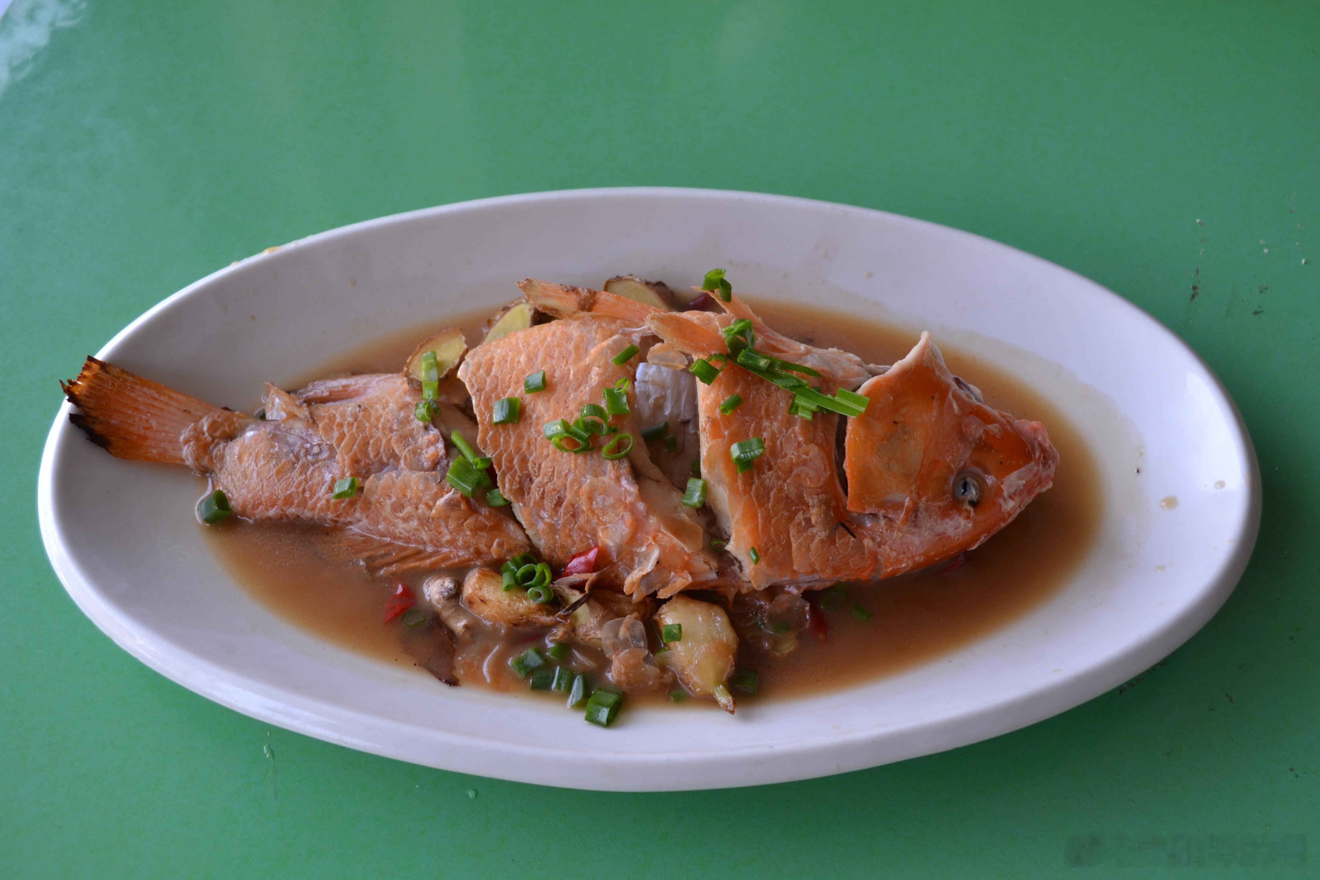 黄岩 稻田鲤鱼 
