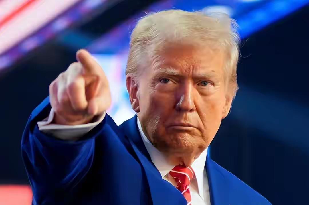 中美关系生变？特朗普一声令下，中国92台起重机被查，果然不简单

特朗普下令彻查