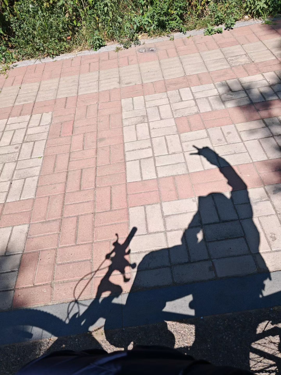 做了一个非常错误的决定，骑行，此刻的我真的好热。。。 
