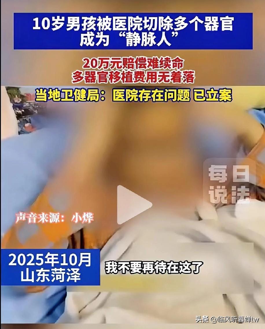 10岁男孩被切多器官成“静脉人”，20万赔偿够救命？医院4处过错藏不住
 
山东
