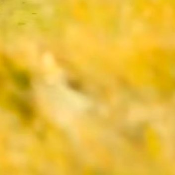 每日一善‎每日一善 ‎阳光‎信用 斗志和干劲很重要，但更重要的，是不断坚持的努力