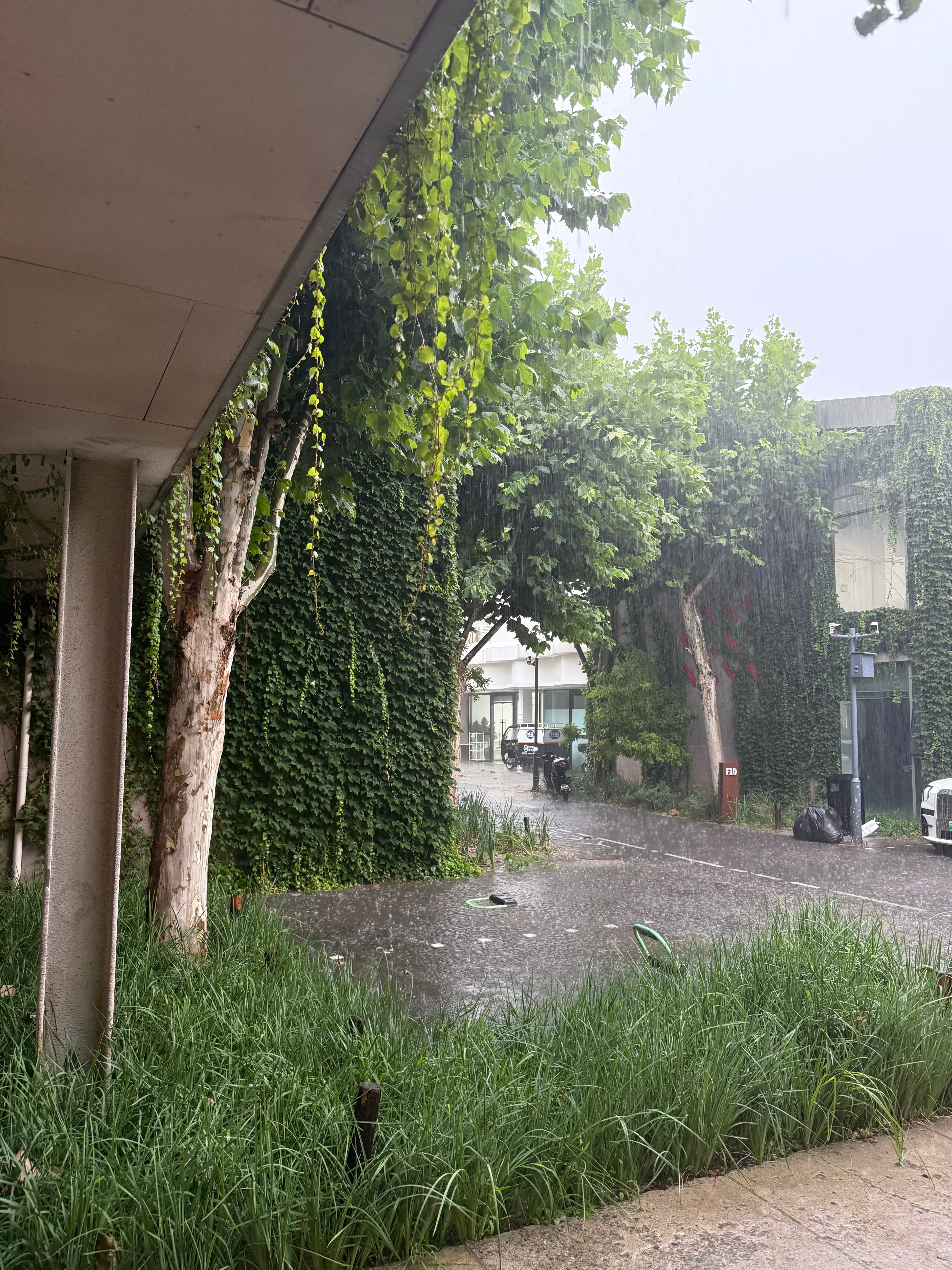 北京暴雨好凉爽啊～ ​​​