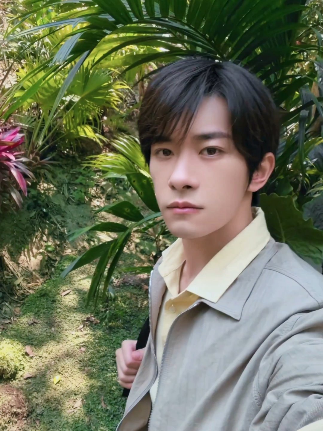 易烊千玺森林日记易烊千玺森系大片 森の日記 | 易烊千玺的山野与海救命！易烊千玺