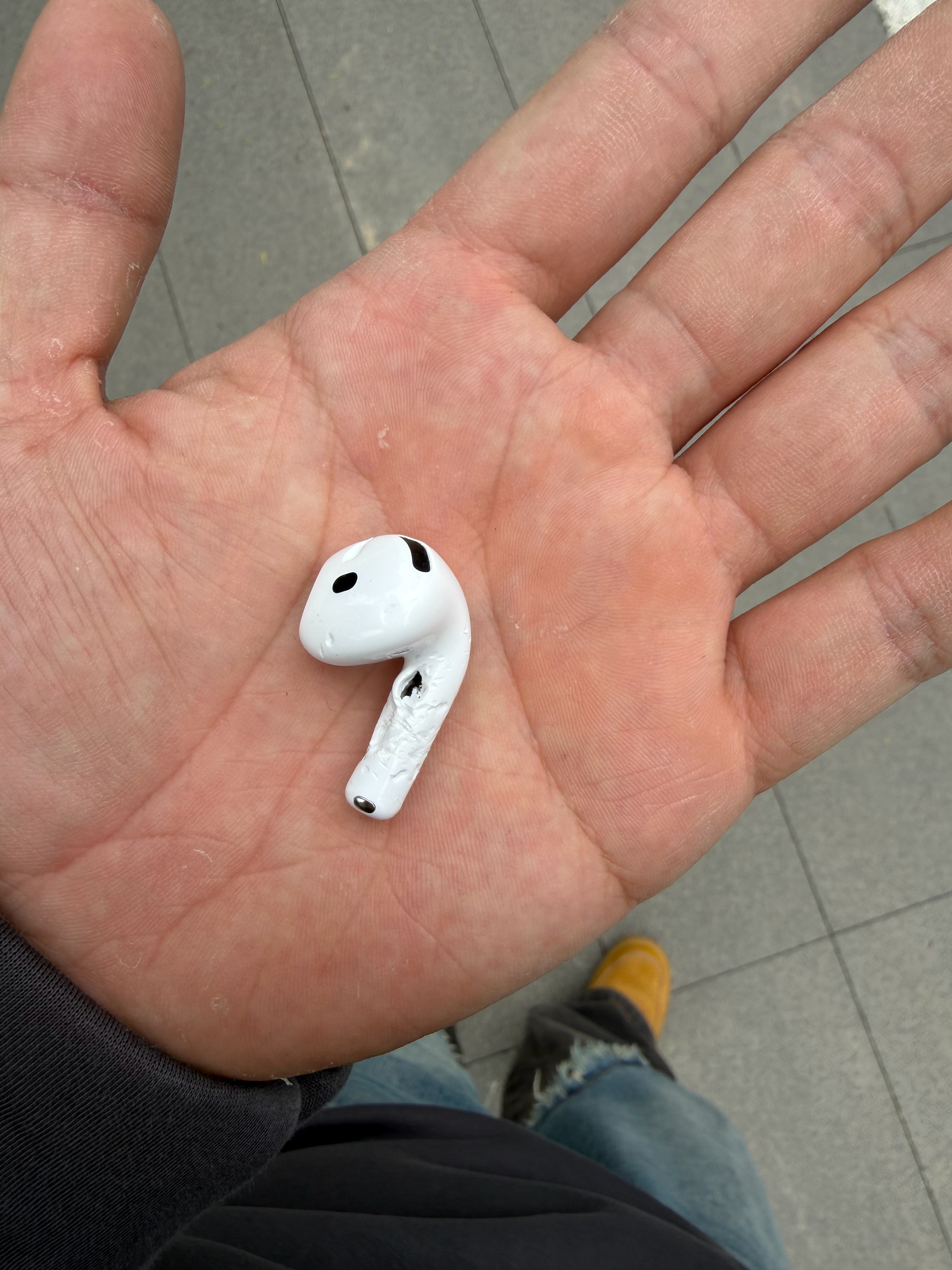 我的小狗牙口真棒