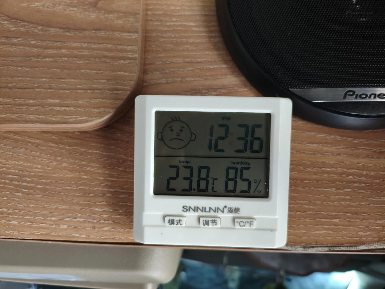 昨晚太白县足足下了一整夜的大雨，本以为雨天会沉闷，今早一睁眼直接被惊喜到。
中午
