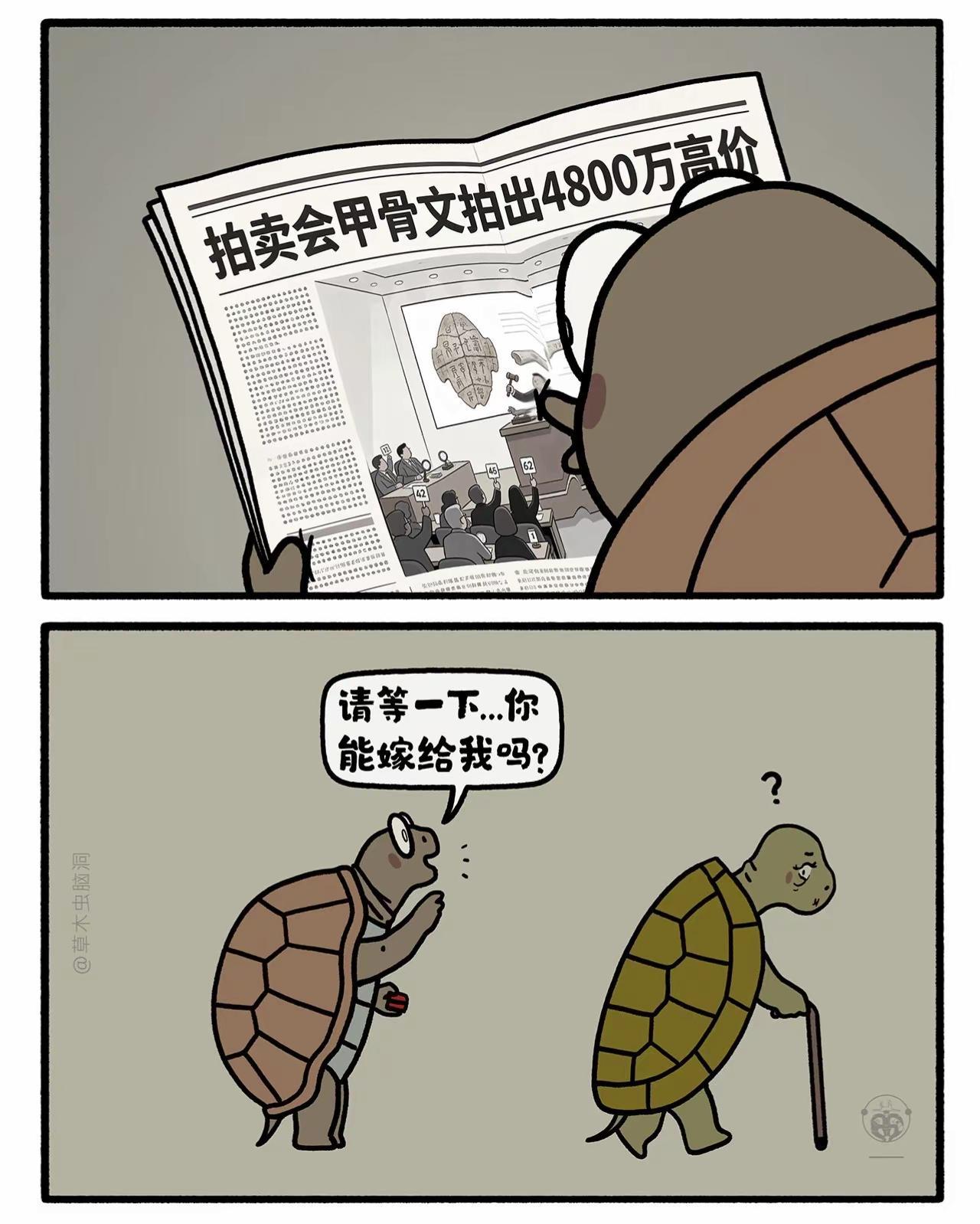 喜欢成熟型。嫦娥打工兔 第九一八集