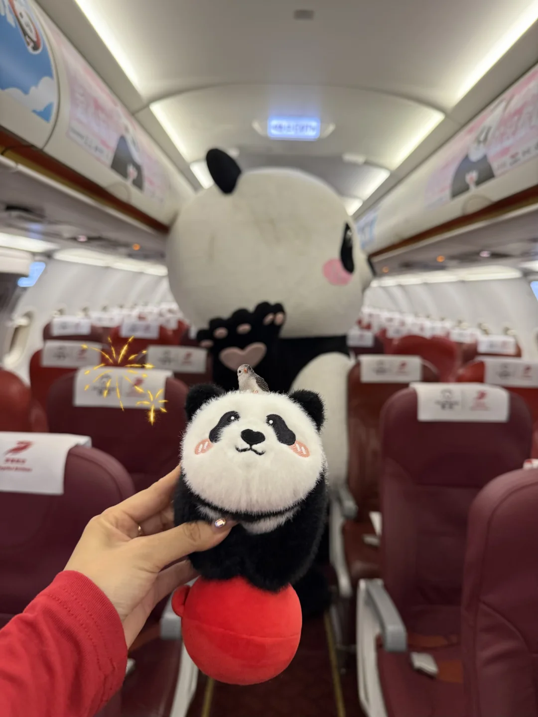 谁懂啊！回北京✈️航班上收获超暖心欢迎礼