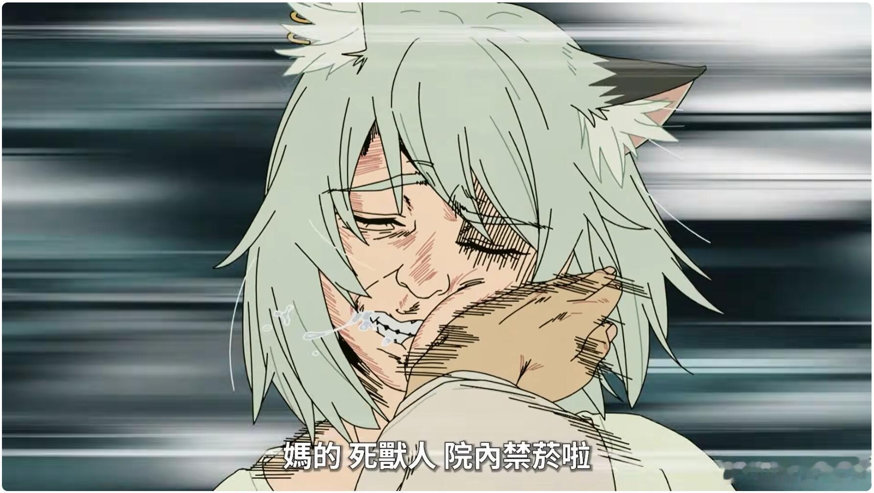 看了一话尼古猫猫。拍的蛮好的，不带一点美化烟民的，甚至是非常恶毒的攻击，片中奶子