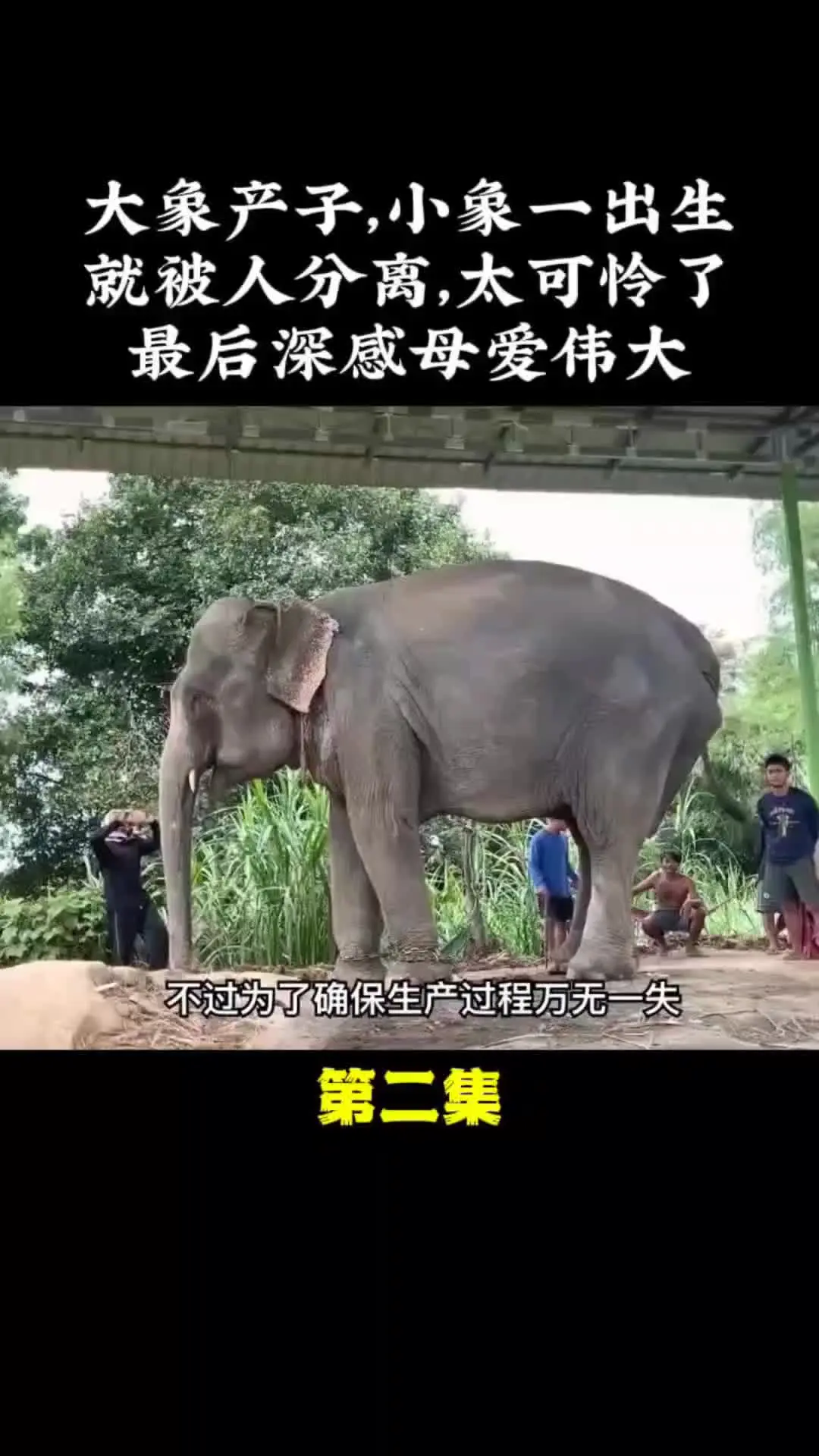 我的观影报告 内容启发搜索
