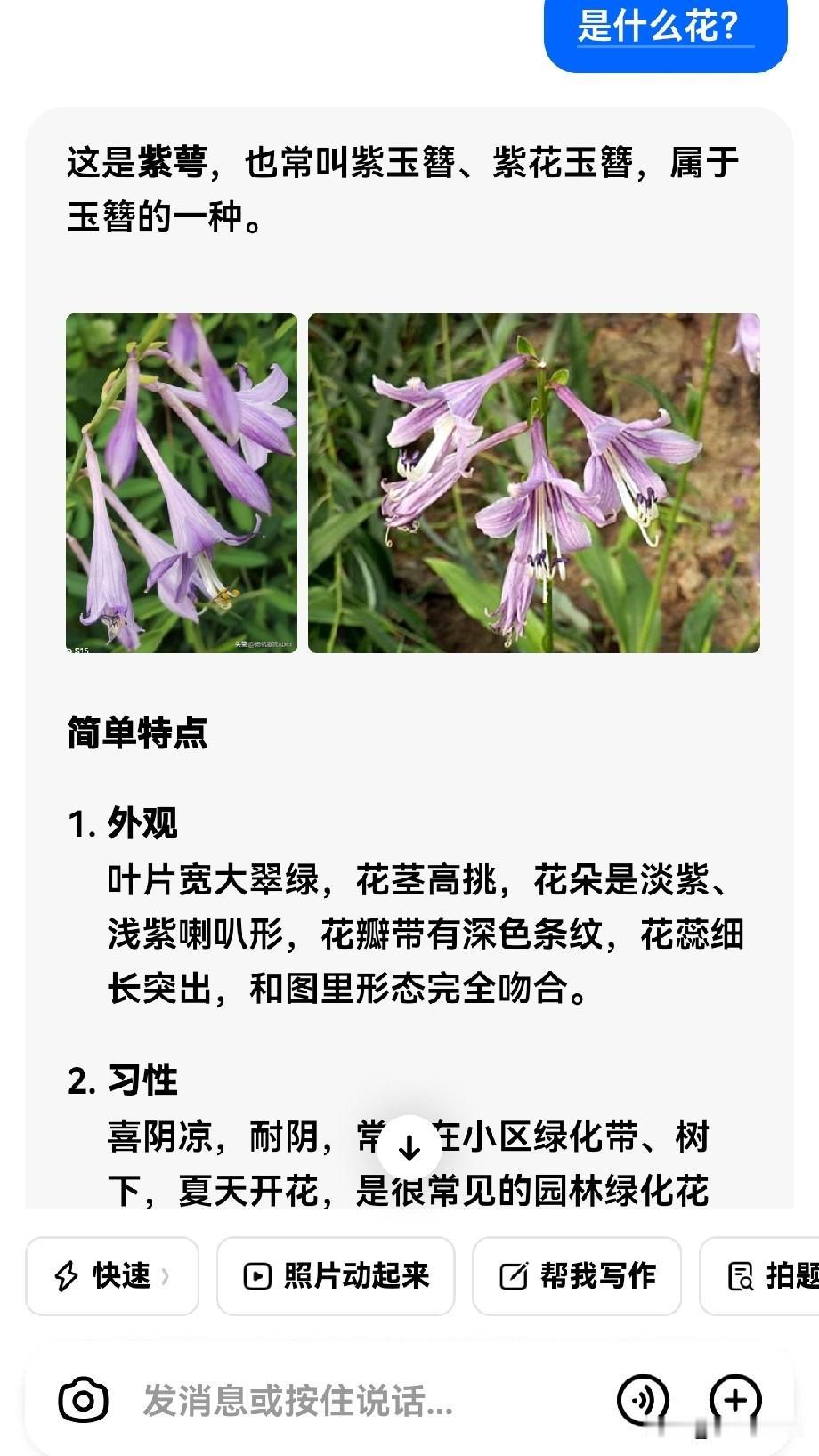 豆包豆包召唤你，
你是我们生活中的好帮手，真的是一位好老师。

昨天下午路过建明