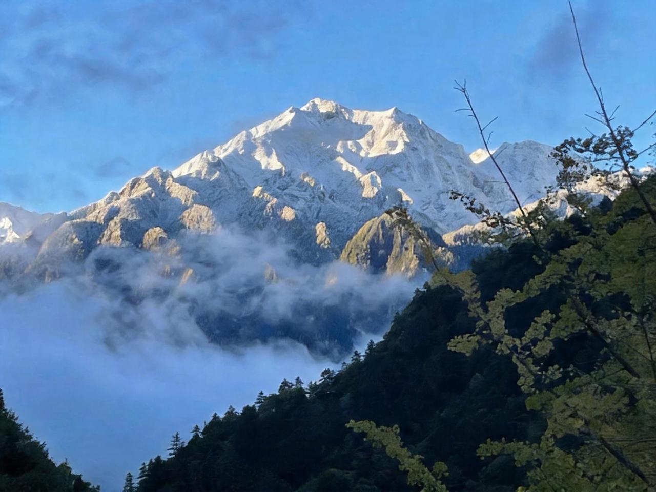 我的图片 抖音ai创作 自媒体人的心酸与成长