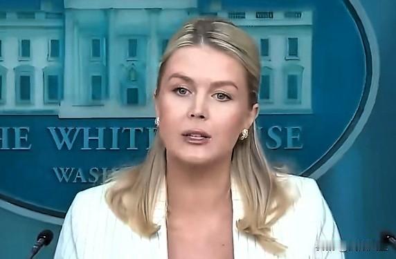 记者:“昨天总统在社交媒体威胁要叫停新的戈迪·豪大桥项目，这座桥连接底特律和加拿